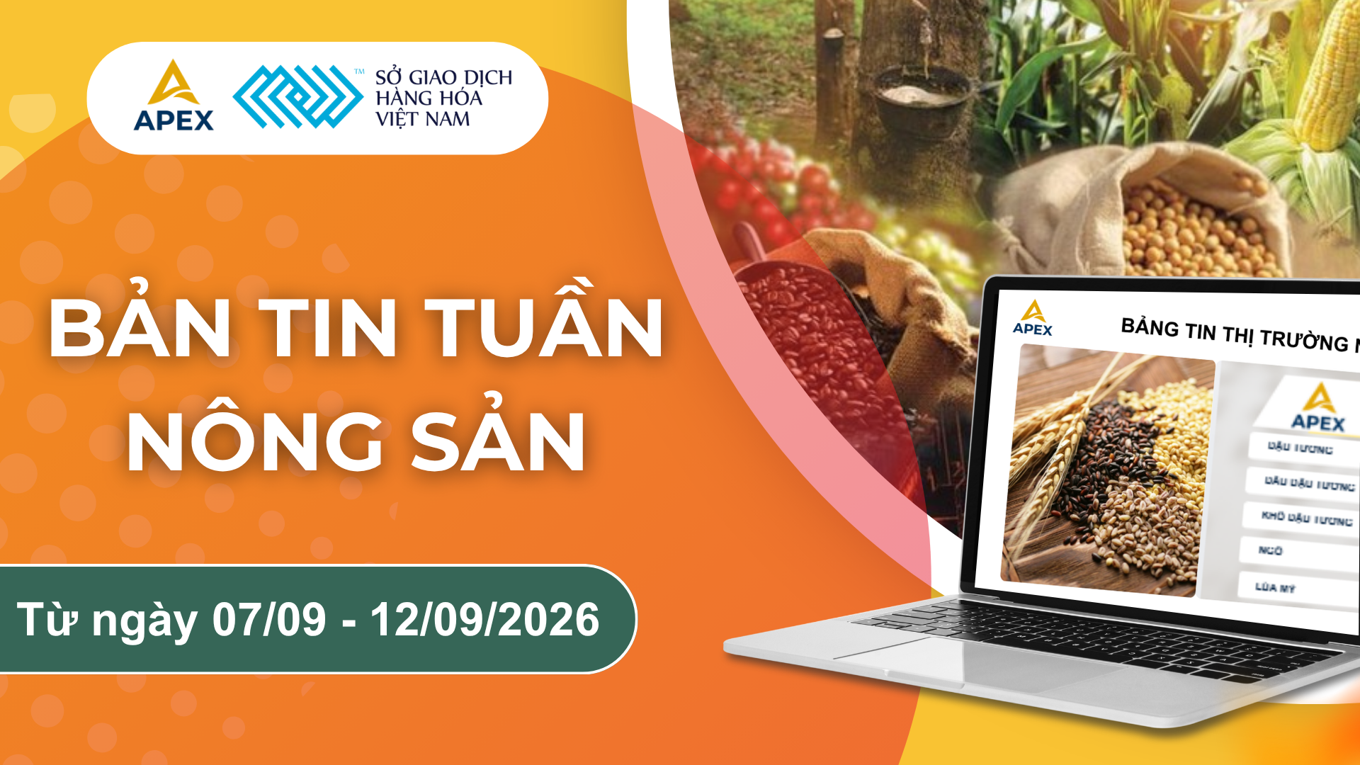 BẢN TIN NÔNG SẢN TUẦN TUẦN 2 - THÁNG 9